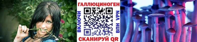 Купить где  Волоколамск  Псилоцибиновые грибы мухоморы 